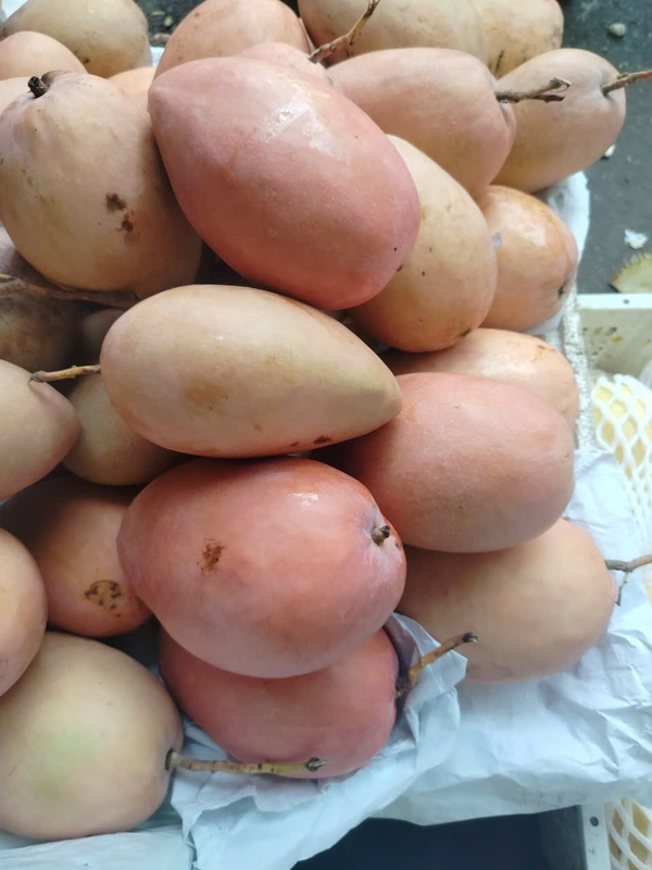 Красный Манго